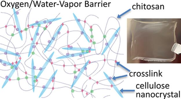 Biobased film for packaging