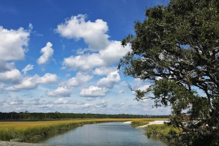 A salt marsh waterway is lined by cord grasses, sand, and trees. The sunny cerulean sky is dotted with clouds.
